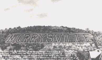 Murrysville Tree Sign