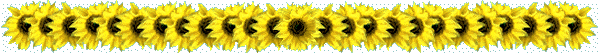 Pekingese