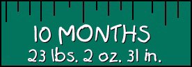 10 Month Stats