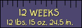 12 Week Stats