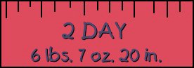 2 Day Stats
