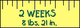 2 Week Stats