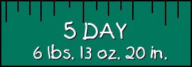 5 Day Stats