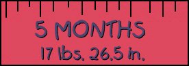 5 Month Stats