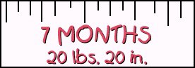 7 Month Stats