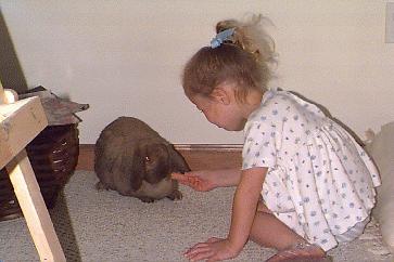 bunny.jpg (16623 bytes)
