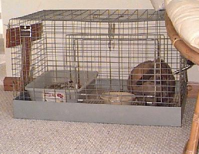 cage.jpg (29744 bytes)