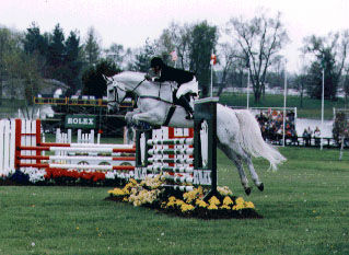 Photo of horse jumping