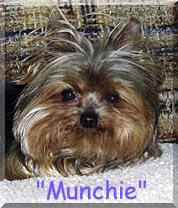 Munchie