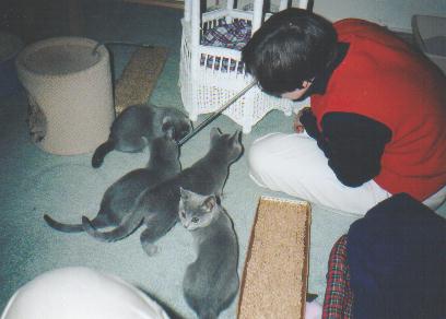 Martha with the Aneise kittens