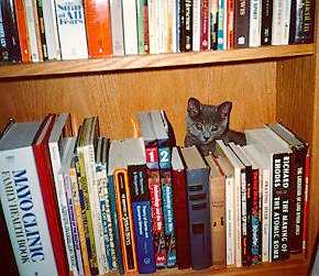 Jedi in the bookcase