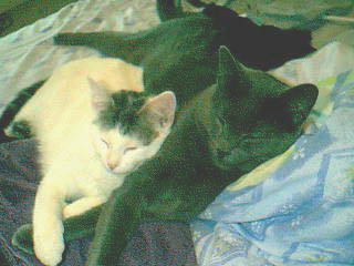 Andy & Chauncey