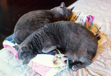 Jessie & Magus