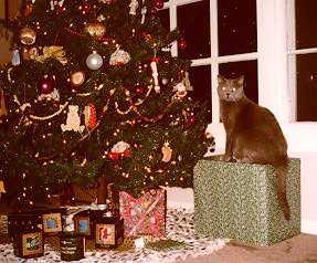 Jedi beside the tree