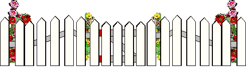 fence with an open gate