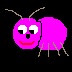 pic of joebug