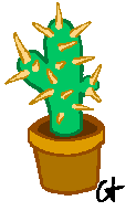 cactus