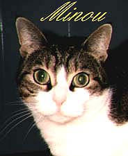 MINOU PRIMO PIANO