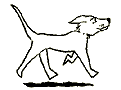 cane