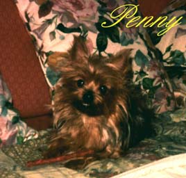 PENNY SUL DIVANO