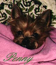 PENNY PRIMO PIANO
