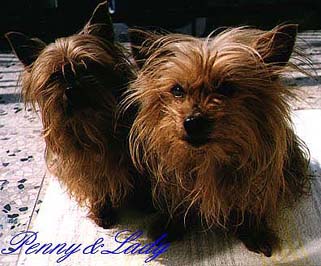 FOTO DI PENNY & LADY