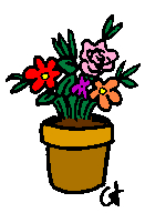 vaso fiori