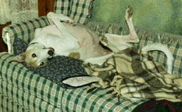 Genny, roachin'