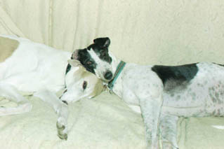 Genny and Star