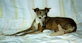 Lydie