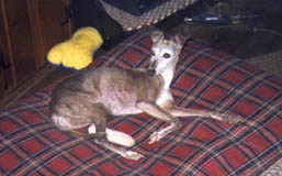 Lydie