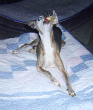 Lydie