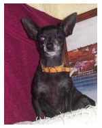 Cinder's rescue photo