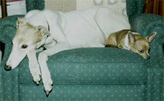 Genny and Mouse