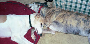 Genny and Rosie