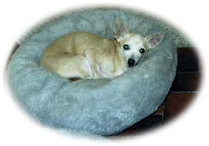 Molly Sept04