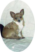 Mouse Sept04