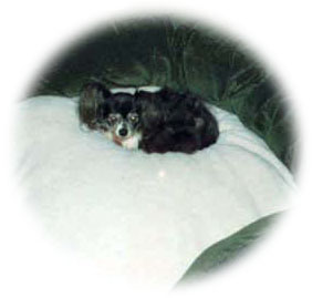 Rocky Sept04