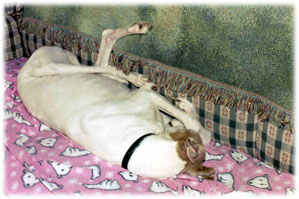 Genny doing what she does best!