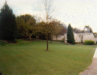 Castle Cliff Gardens