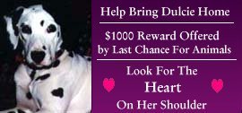 Dulcie's Story