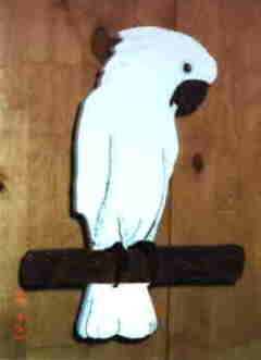 Wooden Umbrella cockatoo