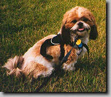 Watching Daddy play softball (7/97 12K)