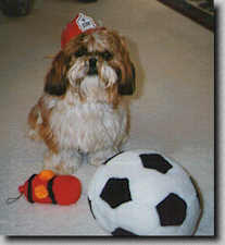 Piper with his fire chief hat on by his soccer ball and fire hydrant. (1/97 7K)