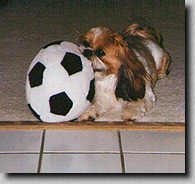 Piper with the soccer ball (6/97 7K)