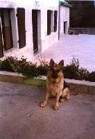 Click to see larger image Hondo 340x498 (23.337 k)