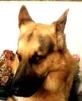 Click to see larger image Hondo 348x433 (20.863 k)