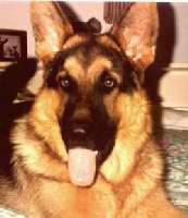 Click to see larger image Hondo 250x341 (15.099 k)