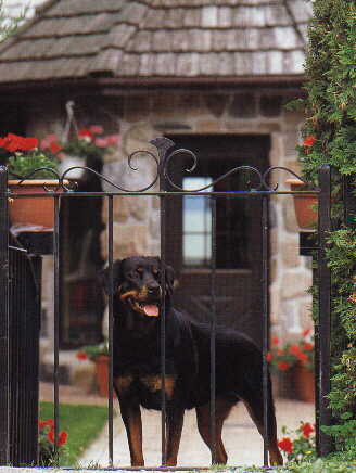 Reba. �
Mark Raycroft - GIF image 369x441, Decoded size (bytes):22548