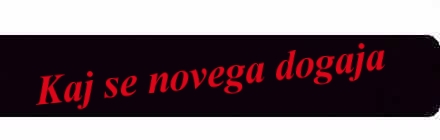 naslov
